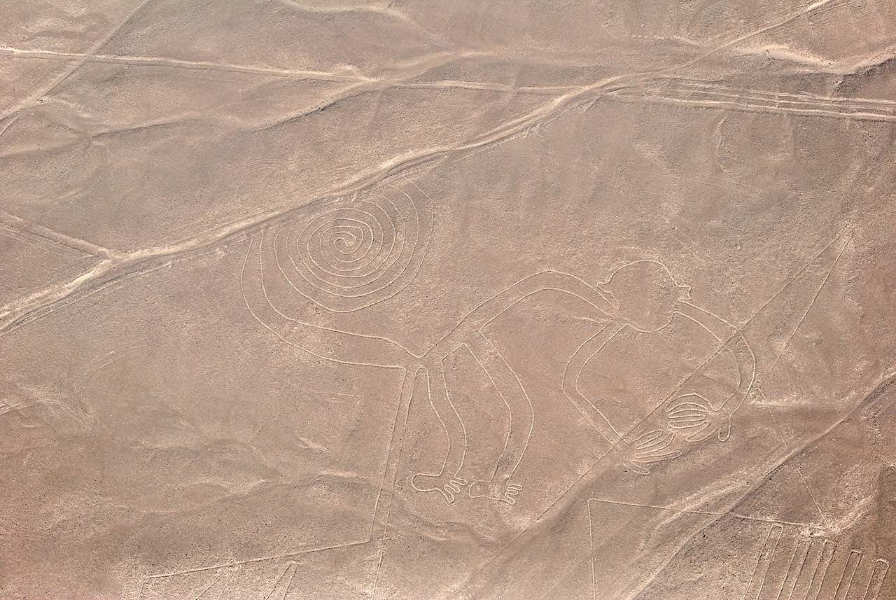 A birds-eye view of the Nazca lines, in particular the monkey constellation.