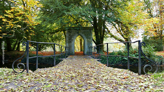 Treasures of Ireland