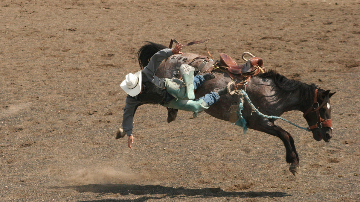 The Calgary Stampede: An Insider’s Guide