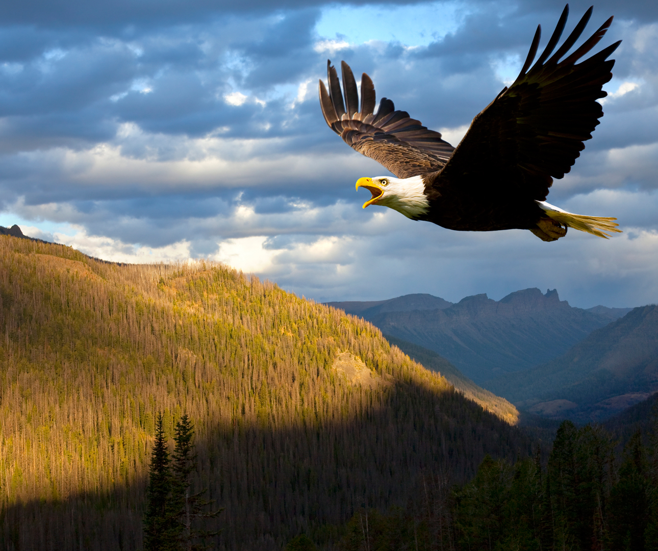 National Parks of America