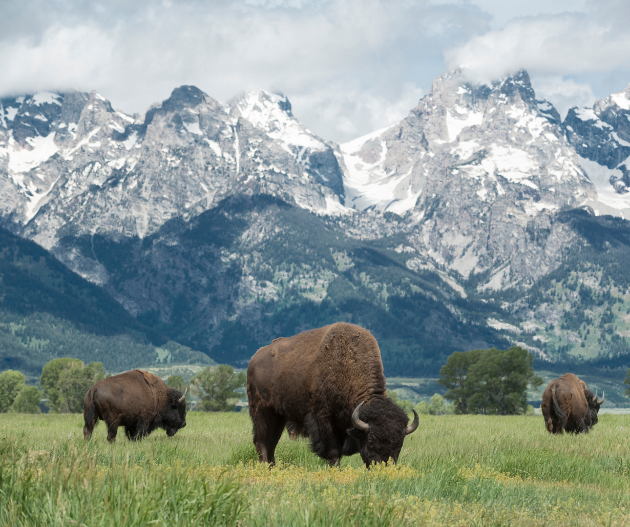 National Parks of America