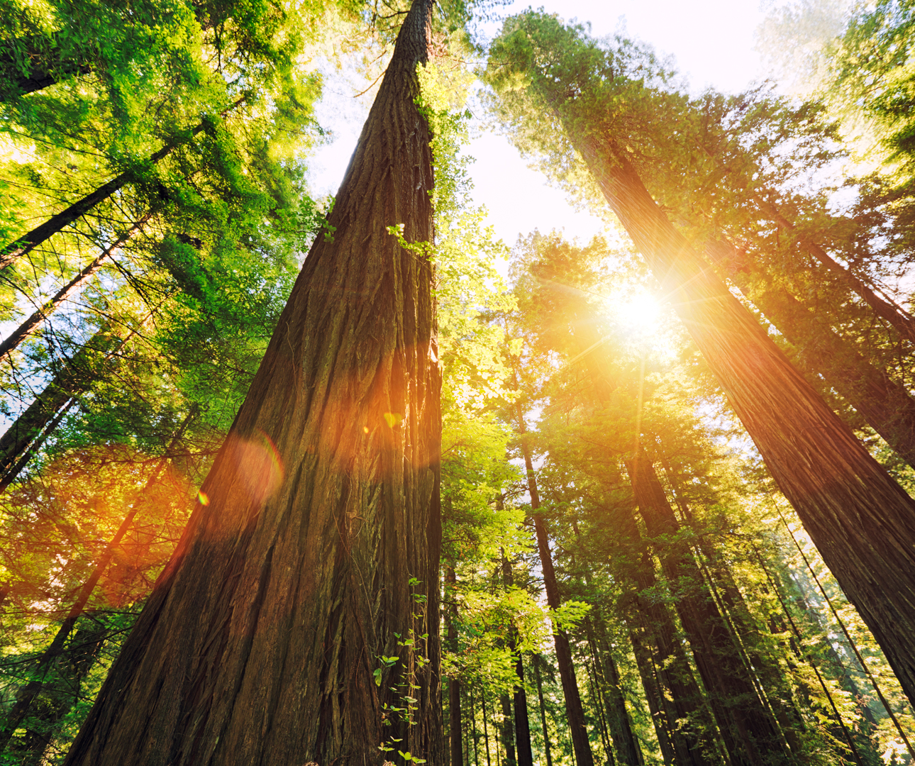 National Parks of America