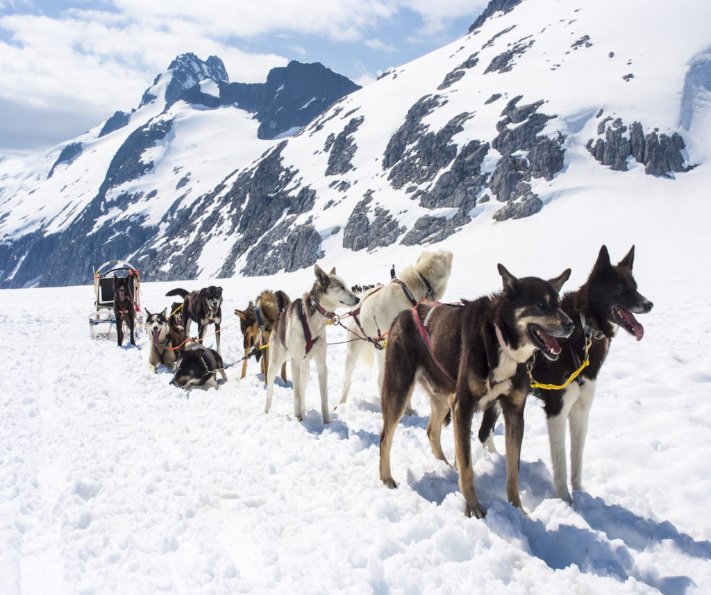Mushing in Alaska