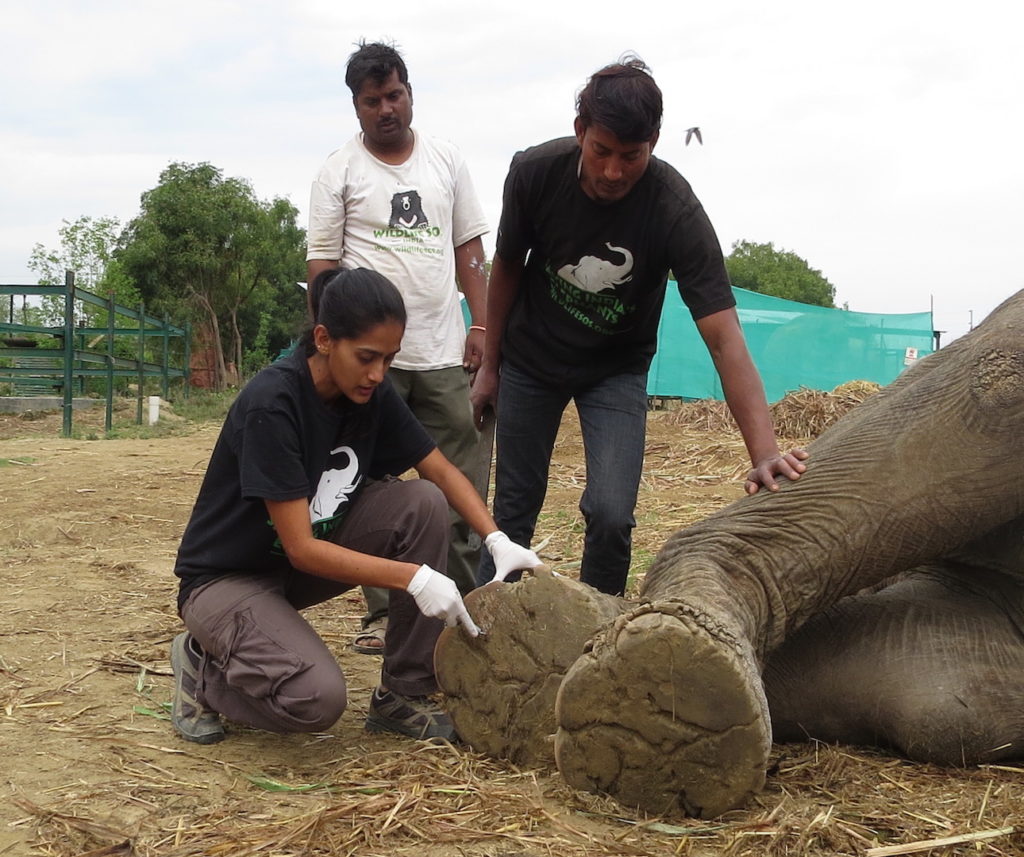 TreadRight Foundation