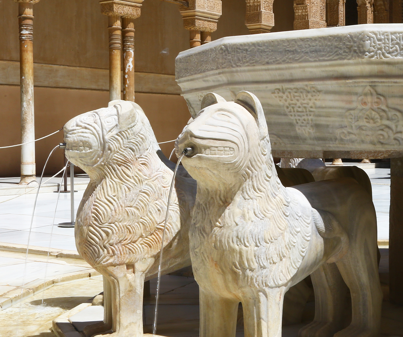 Where to Visit in March