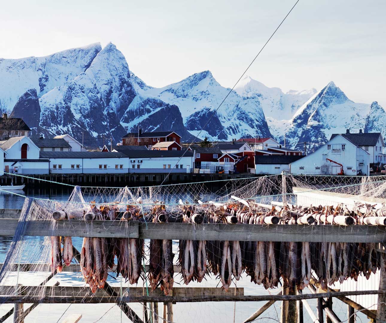 20 Scandinavian Foods You Have to Try on Your Next Trip