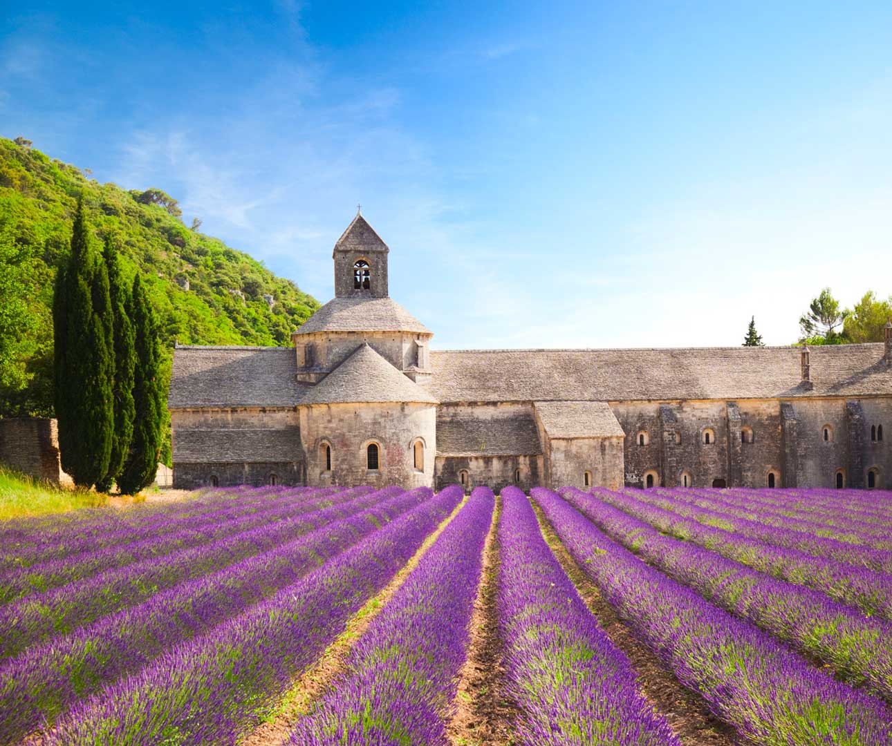 senanque-abbey-istock-bzozowska