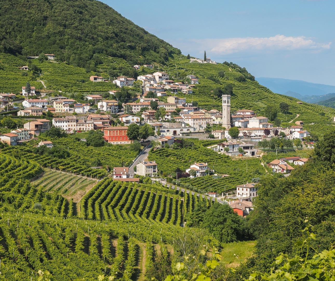 Valdobbiadene town and vineyard