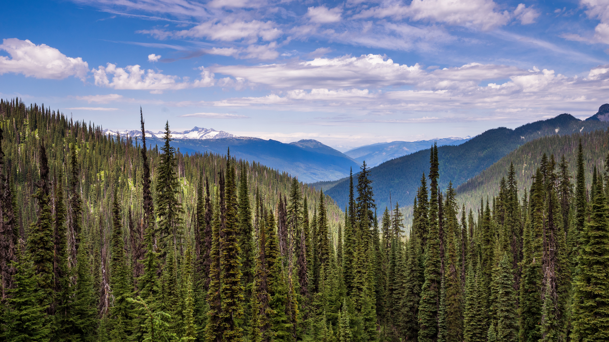 Mount Revelstoke National Park