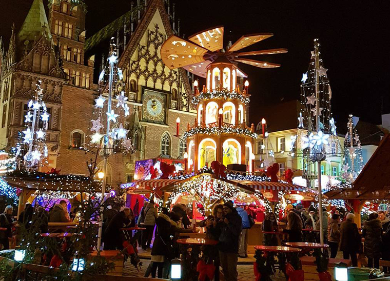 a close up shot of a brown bear’s face, with shaggy brown fur