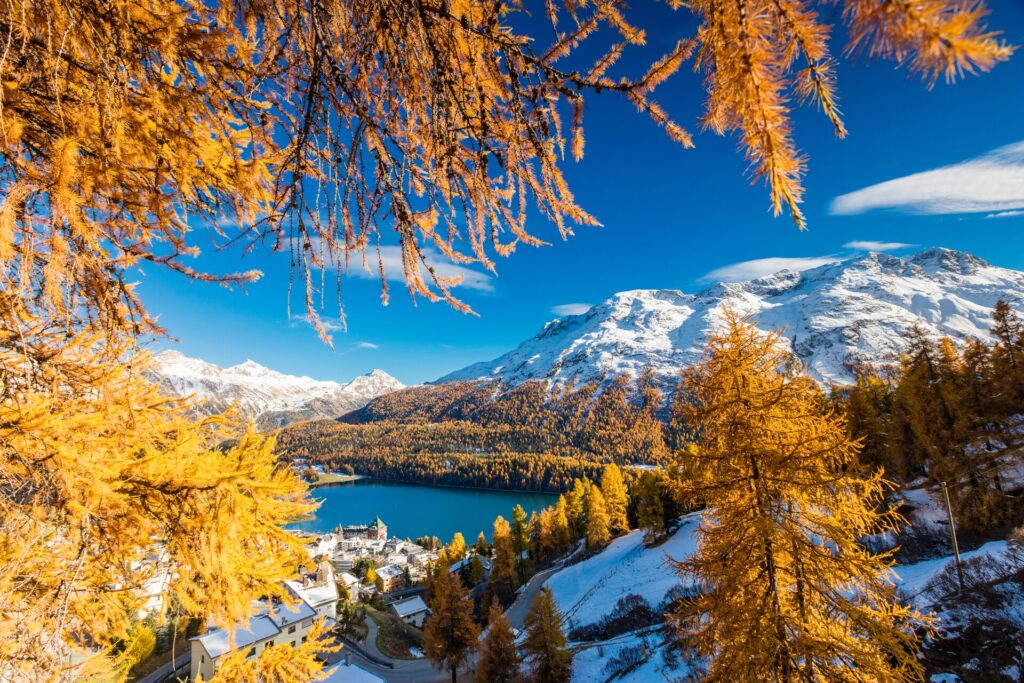 White snowy mountains with orange trees and a dark blue lake.
