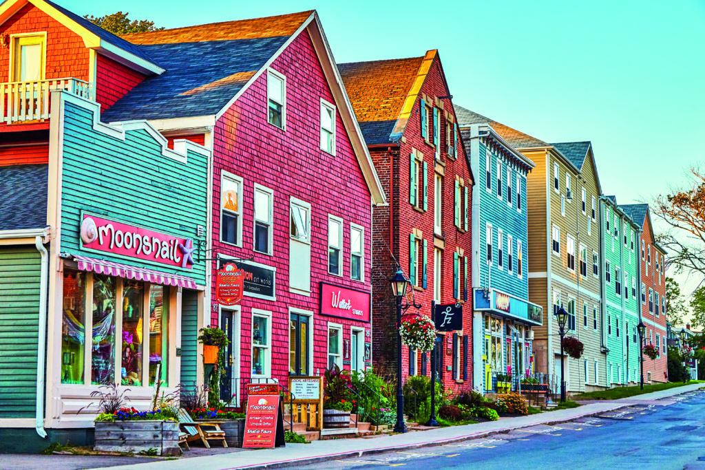 a close up shot of a brown bear’s face, with shaggy brown fur