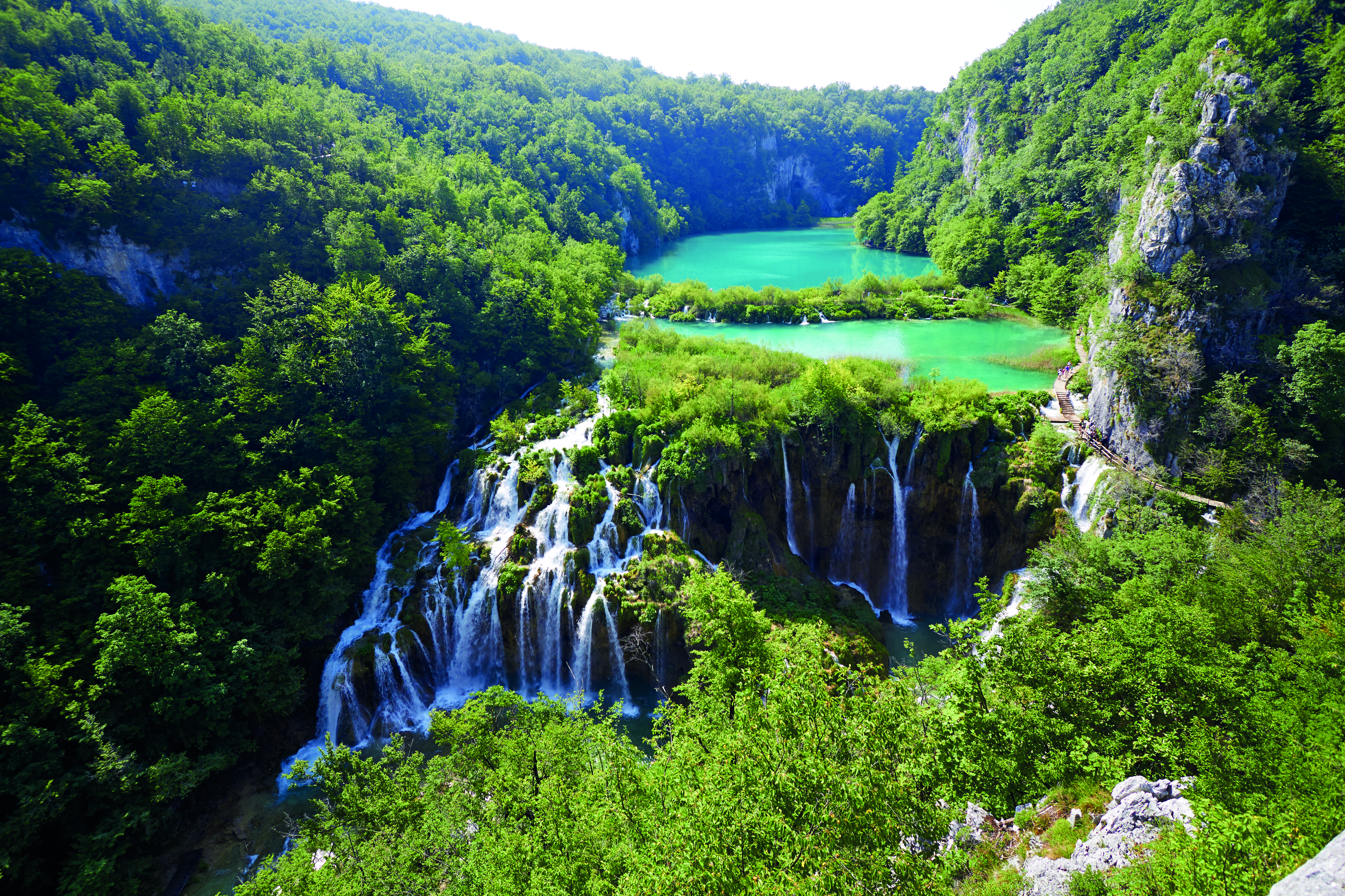 River flowing forest