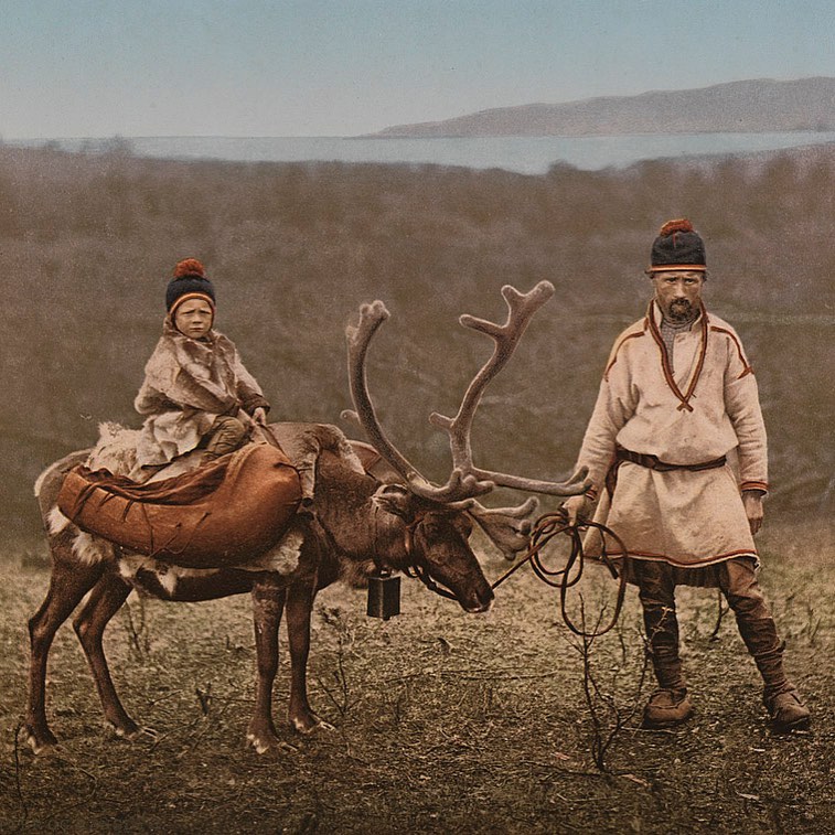 a close up shot of a brown bear’s face, with shaggy brown fur
