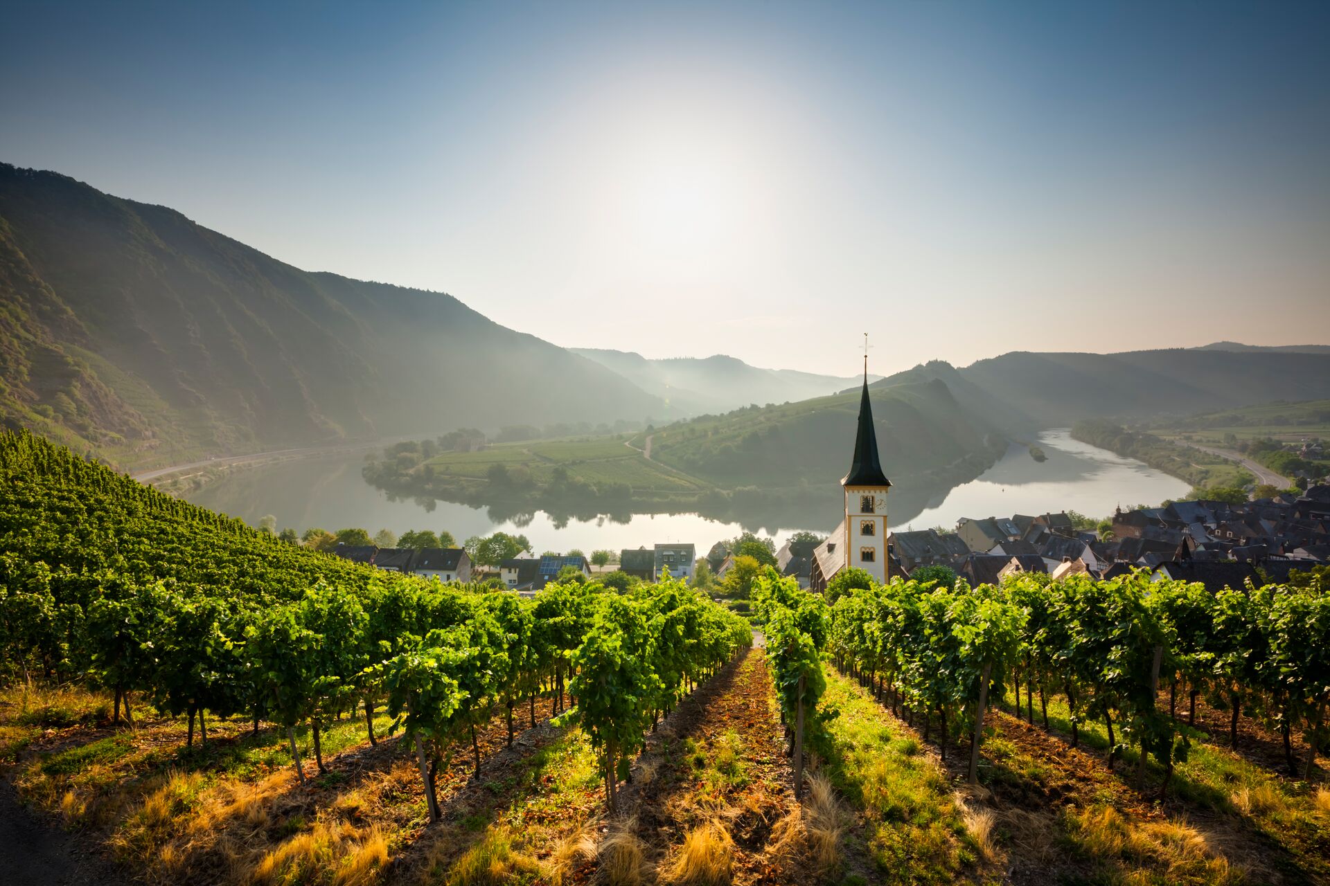 Green vines sit in lines going down to a U shaped river bend with a small white turret in the middle, in Germany.