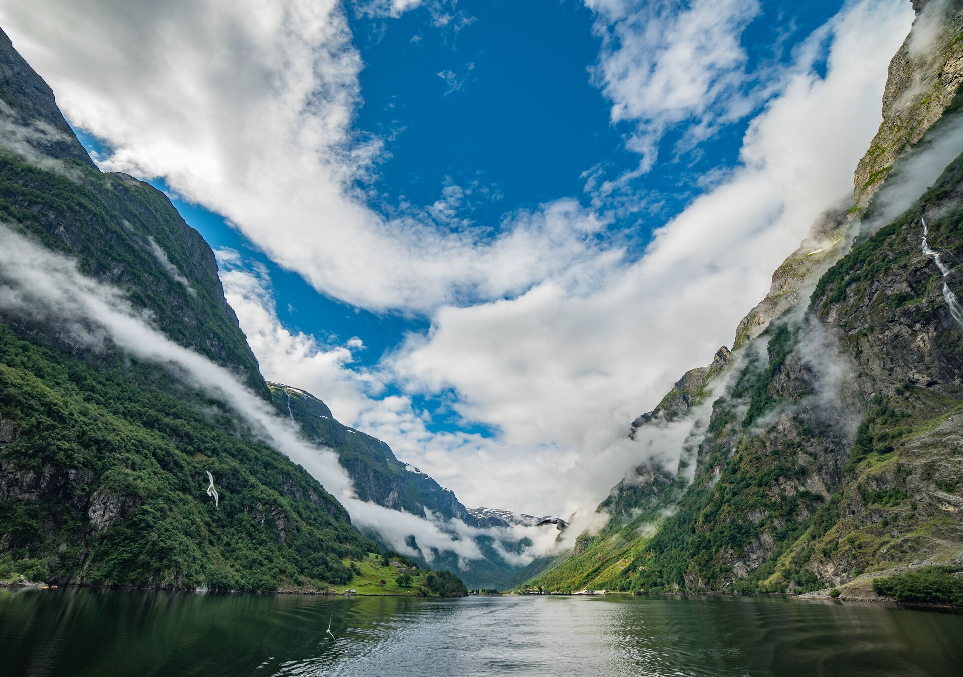 A view down a Norwegian fjord with steep green sides, green water and a white cloudy sky.
