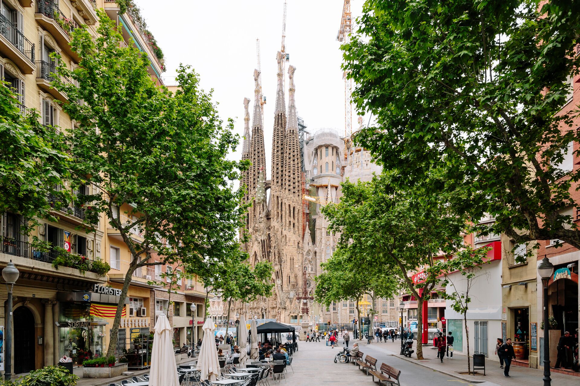 a view of a tree-lined Barcelona street leading up to the Sagrada Familia church