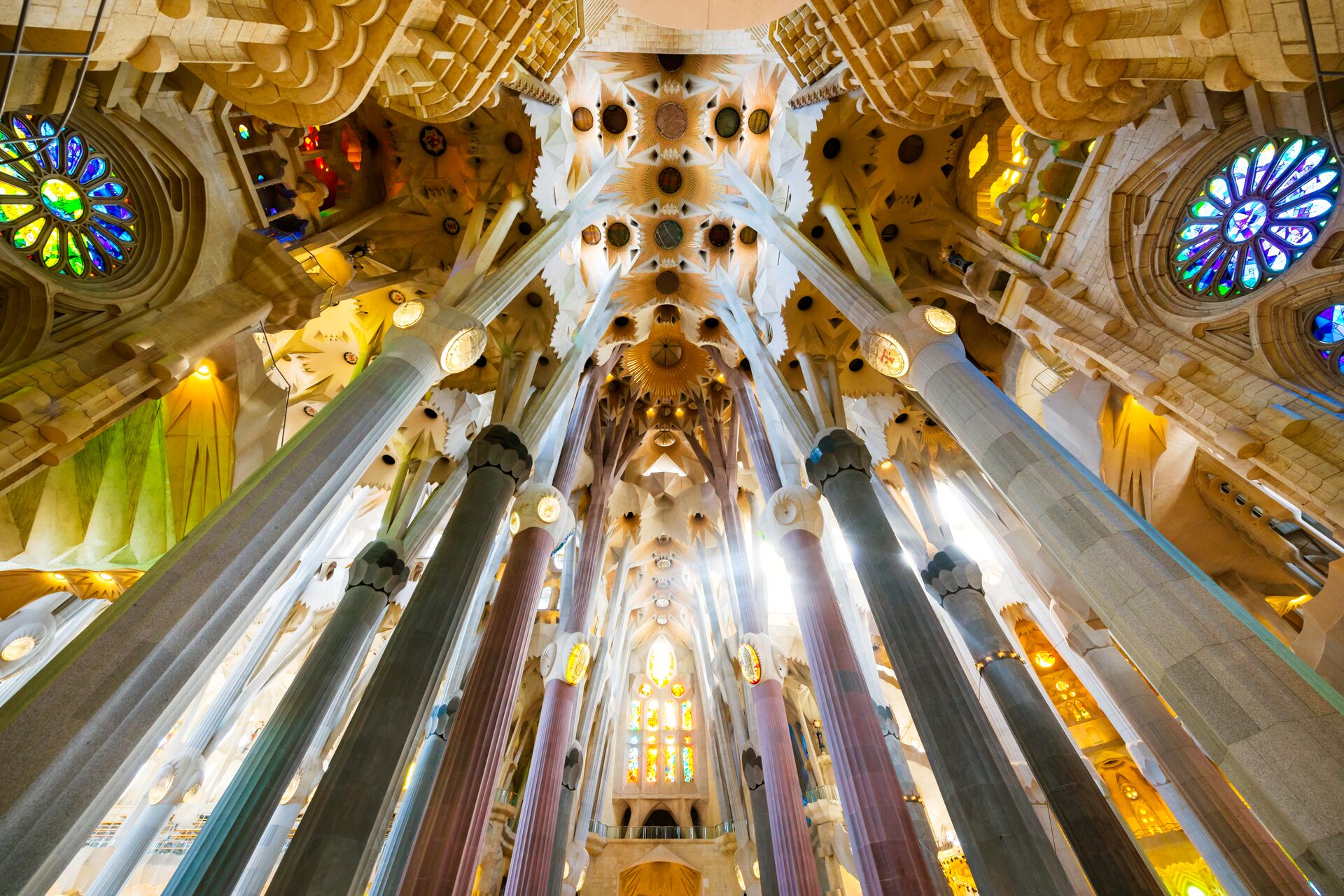 vast columns reach up to an ornate roof in Gaudi’s famous church the Sagrada Familia