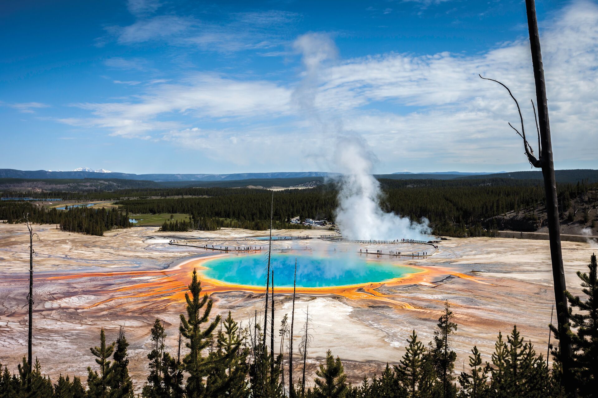 A bright blue hot spring in Yellowstone National Park