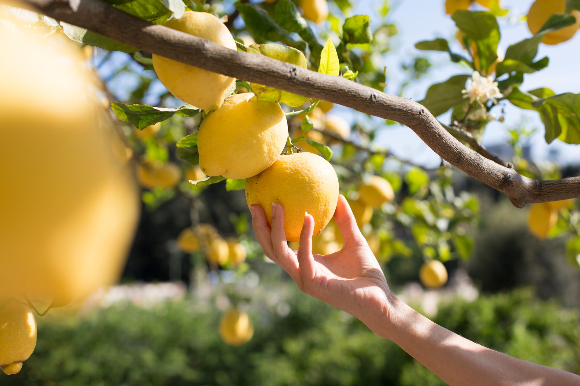 15 of the World’s Most Eco-Friendly Restaurants