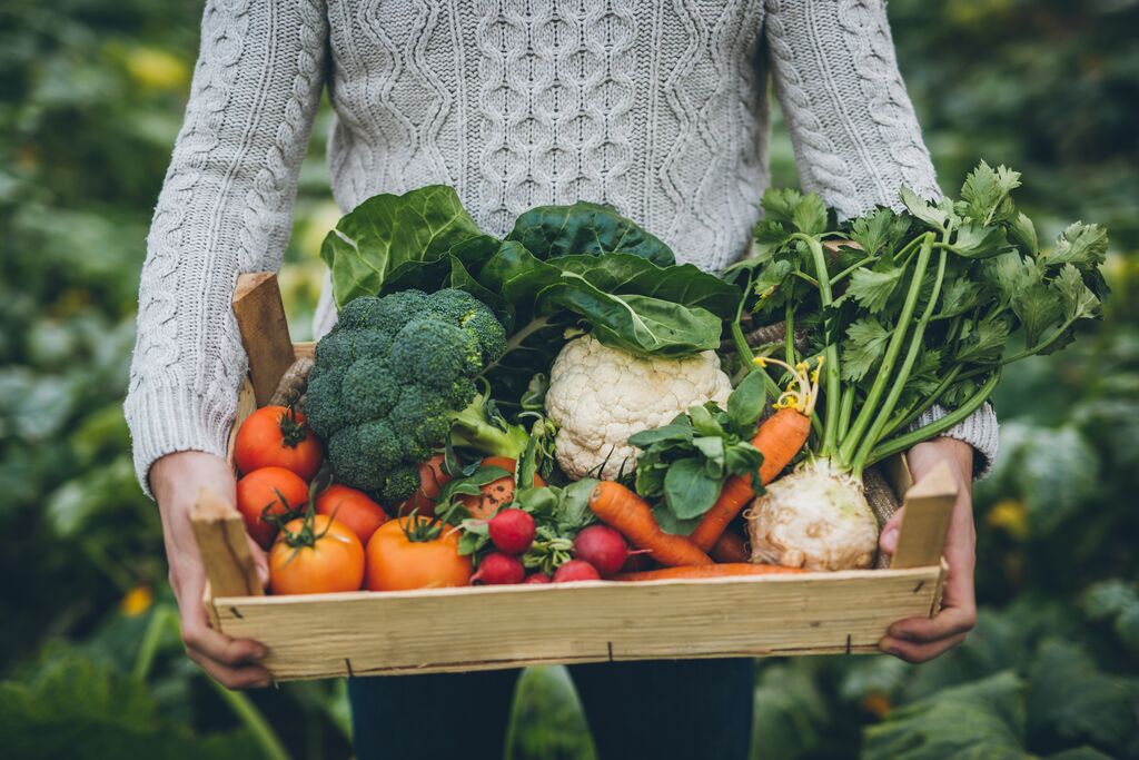 Man holding box of organic vegetables