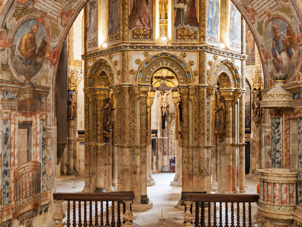 a close up shot of a brown bear’s face, with shaggy brown fur