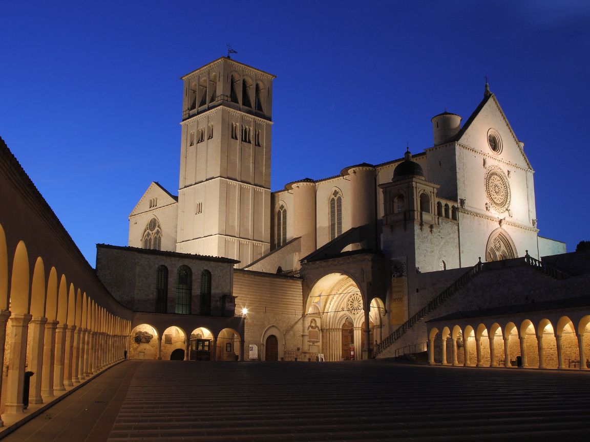 a close up shot of a brown bear’s face, with shaggy brown fur