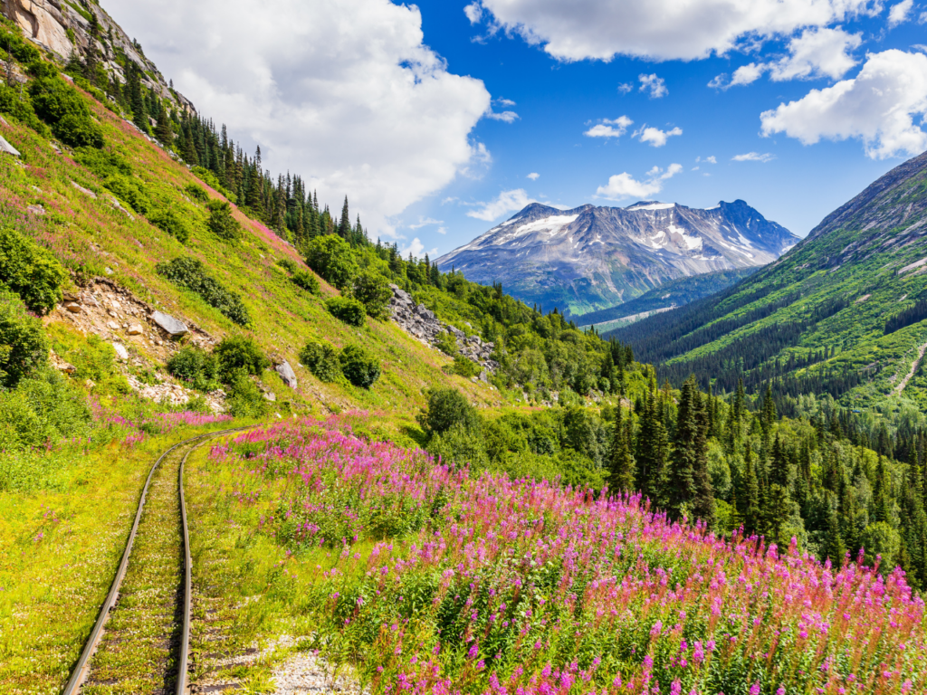 A train tracks in Alaska amidst the majestic mountains.