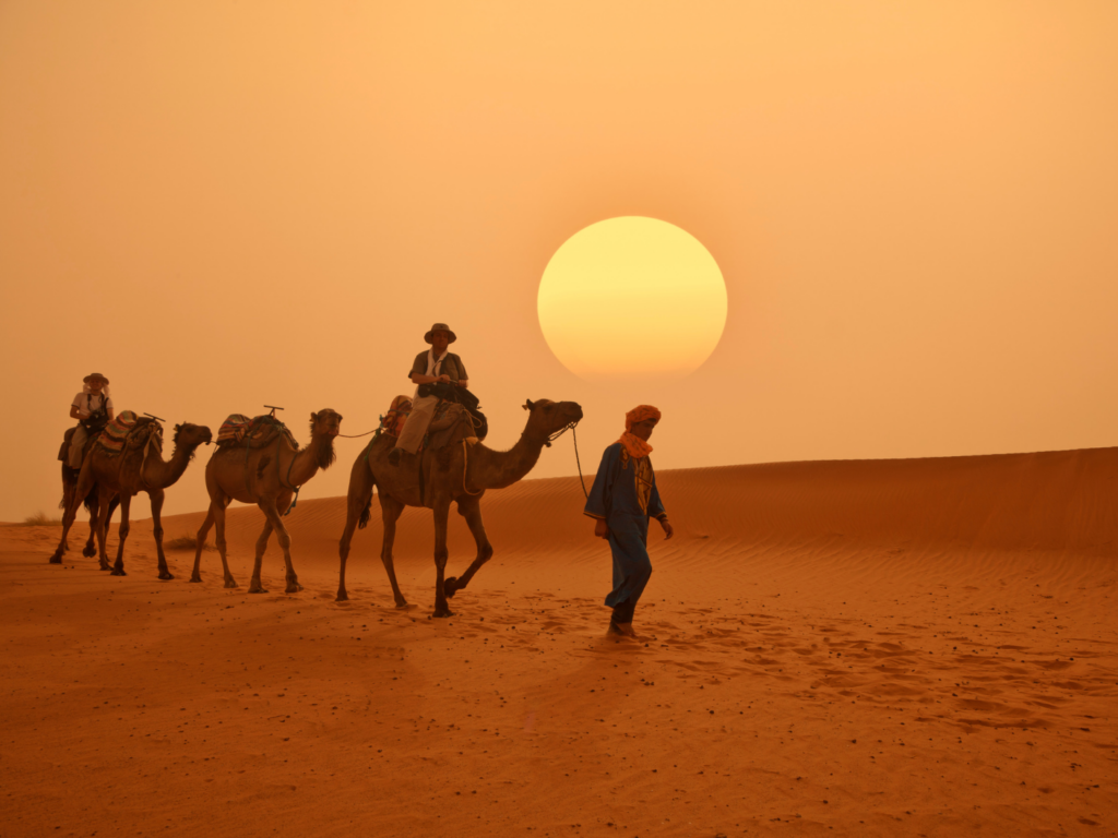 men on camels, morocco