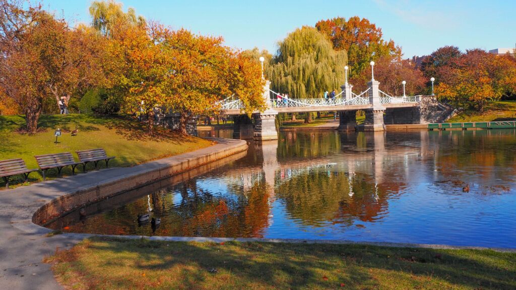 Large beautiful trees and waterfront in Boston, Massachusetts