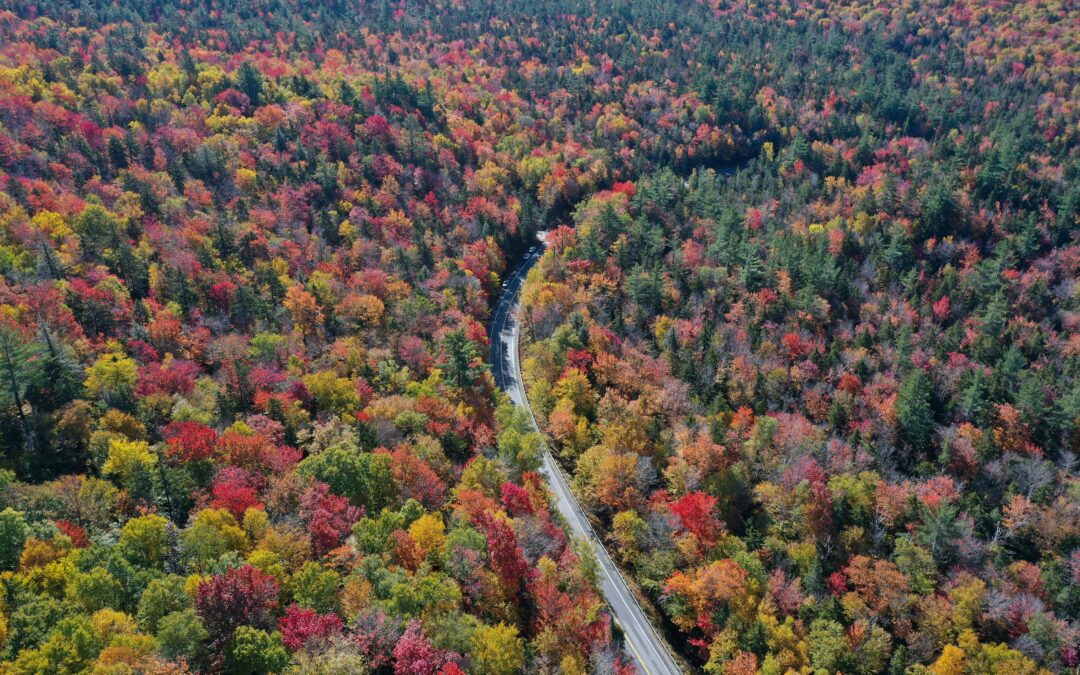 Nine Incredible Fall Experiences to Discover in the USA