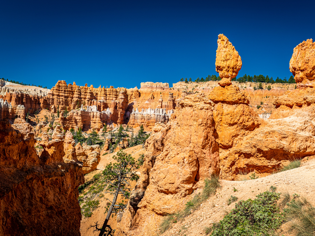 Bryce Canyon