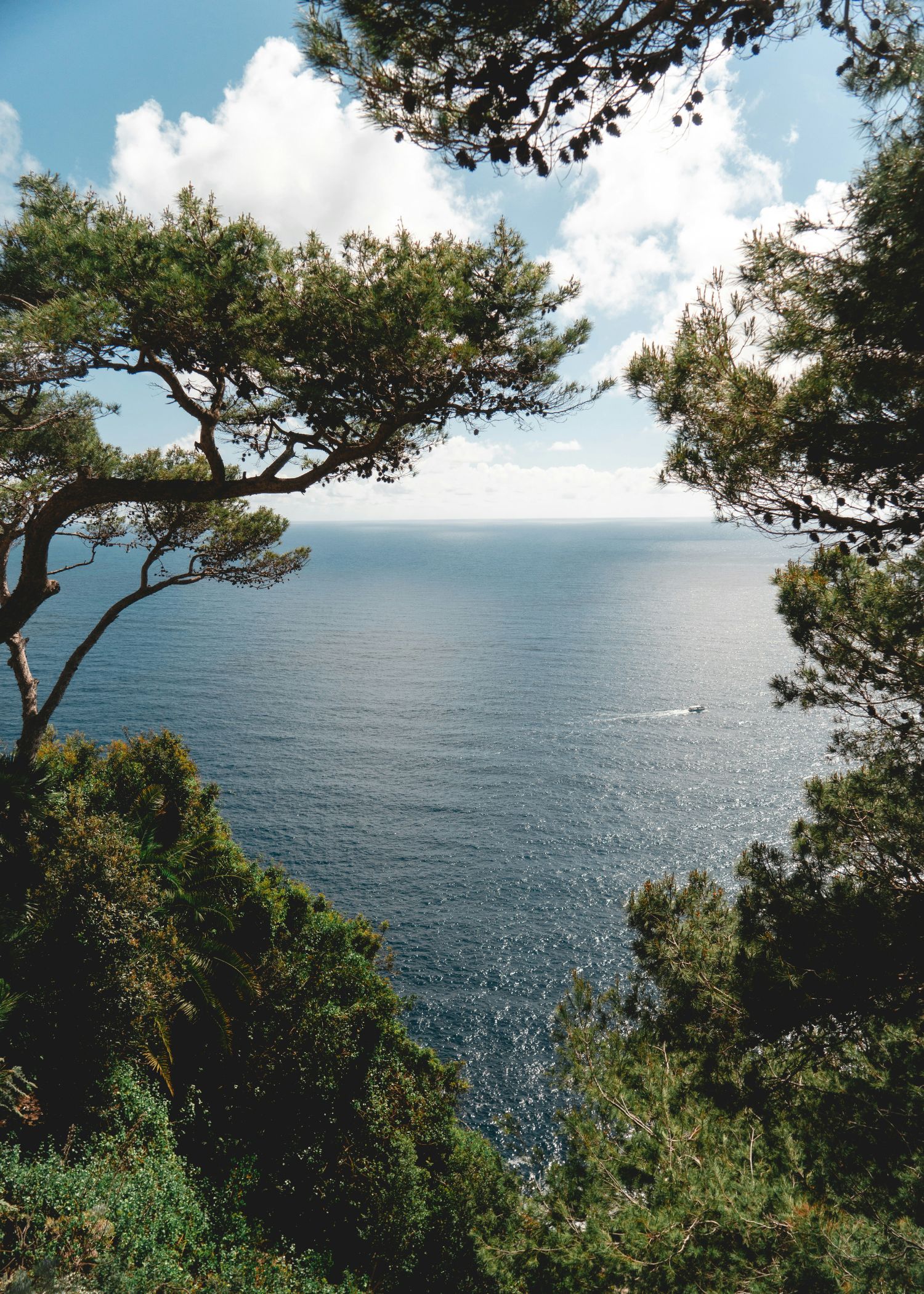 a close up shot of a brown bear’s face, with shaggy brown fur