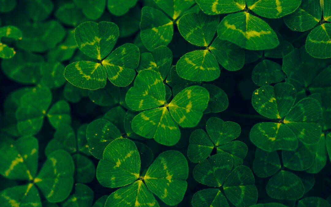 The Magic of St Patrick’s Day: Traditions, Myths and Celebrations