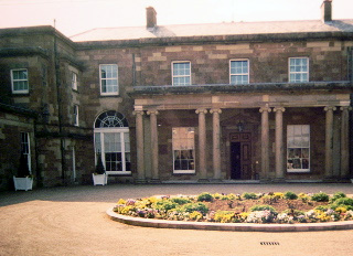 a close up shot of a brown bear’s face, with shaggy brown fur