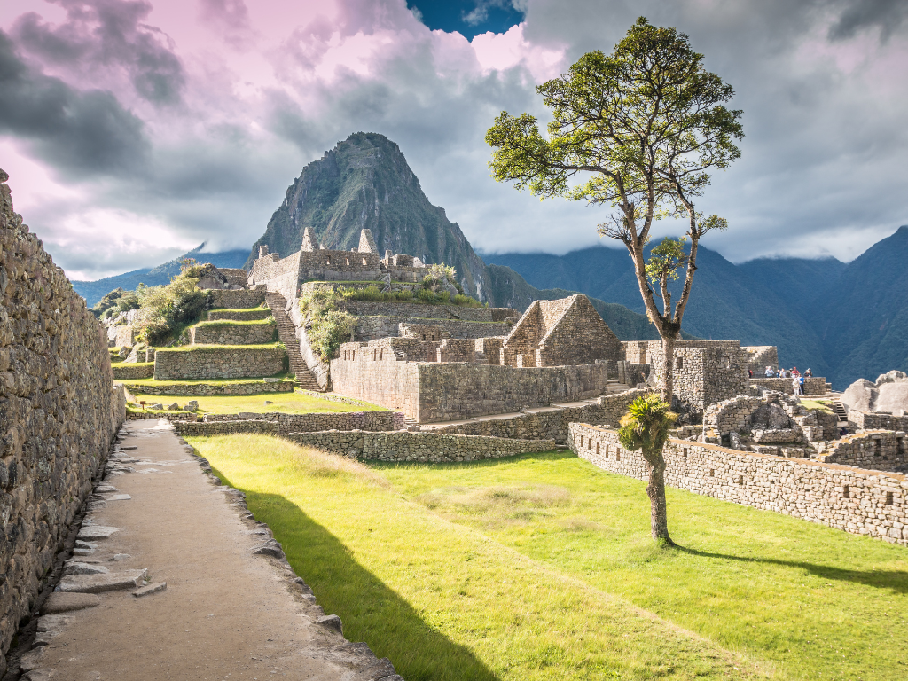 a close up shot of a brown bear’s face, with shaggy brown fur