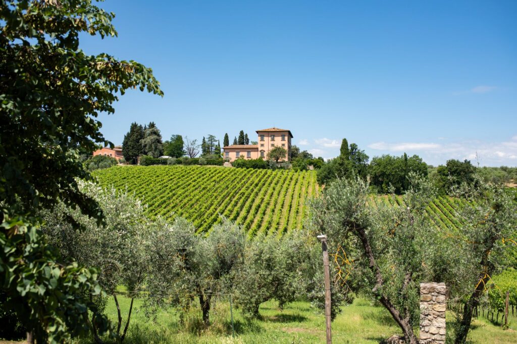Villa Machiavelli in Tuscany with vineyards