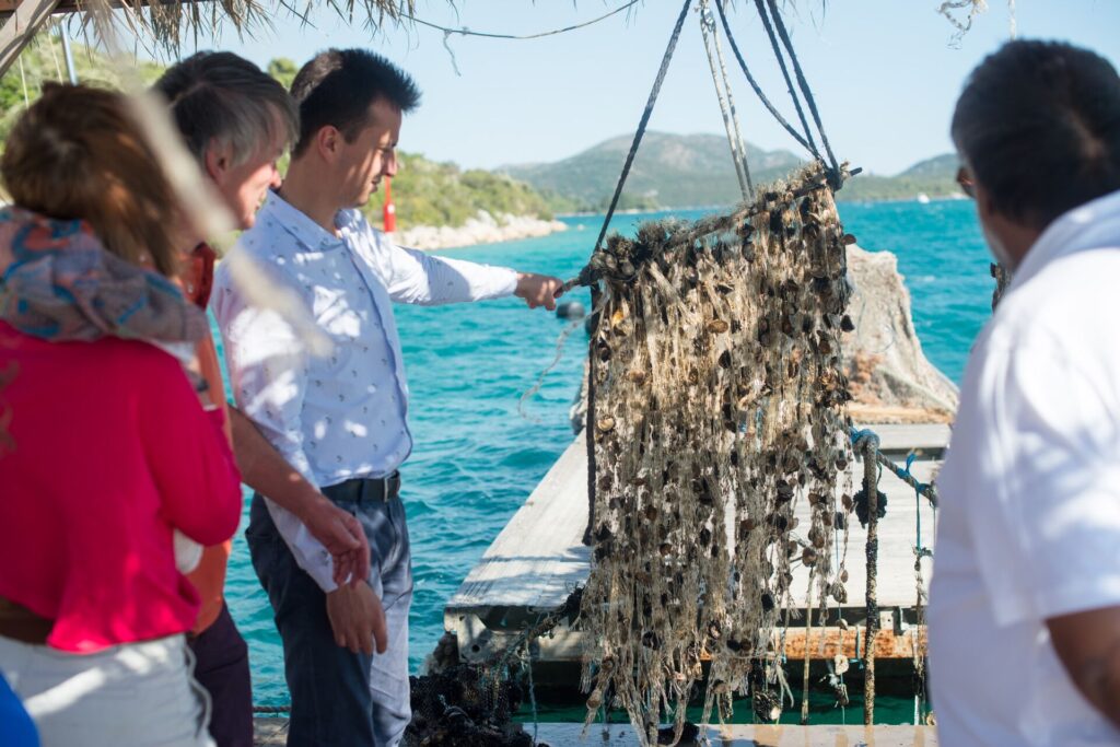 A group of people watch a catch oysters on a boat.