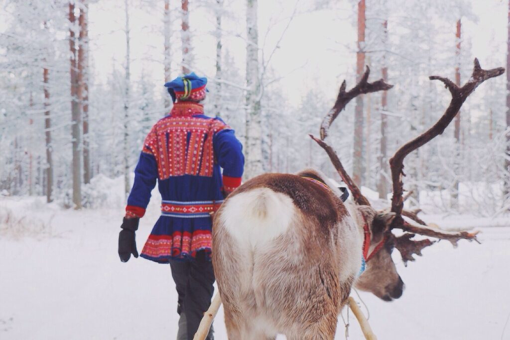 A man in traditional Sami dress leads a Reindeer in the snow in Norway.