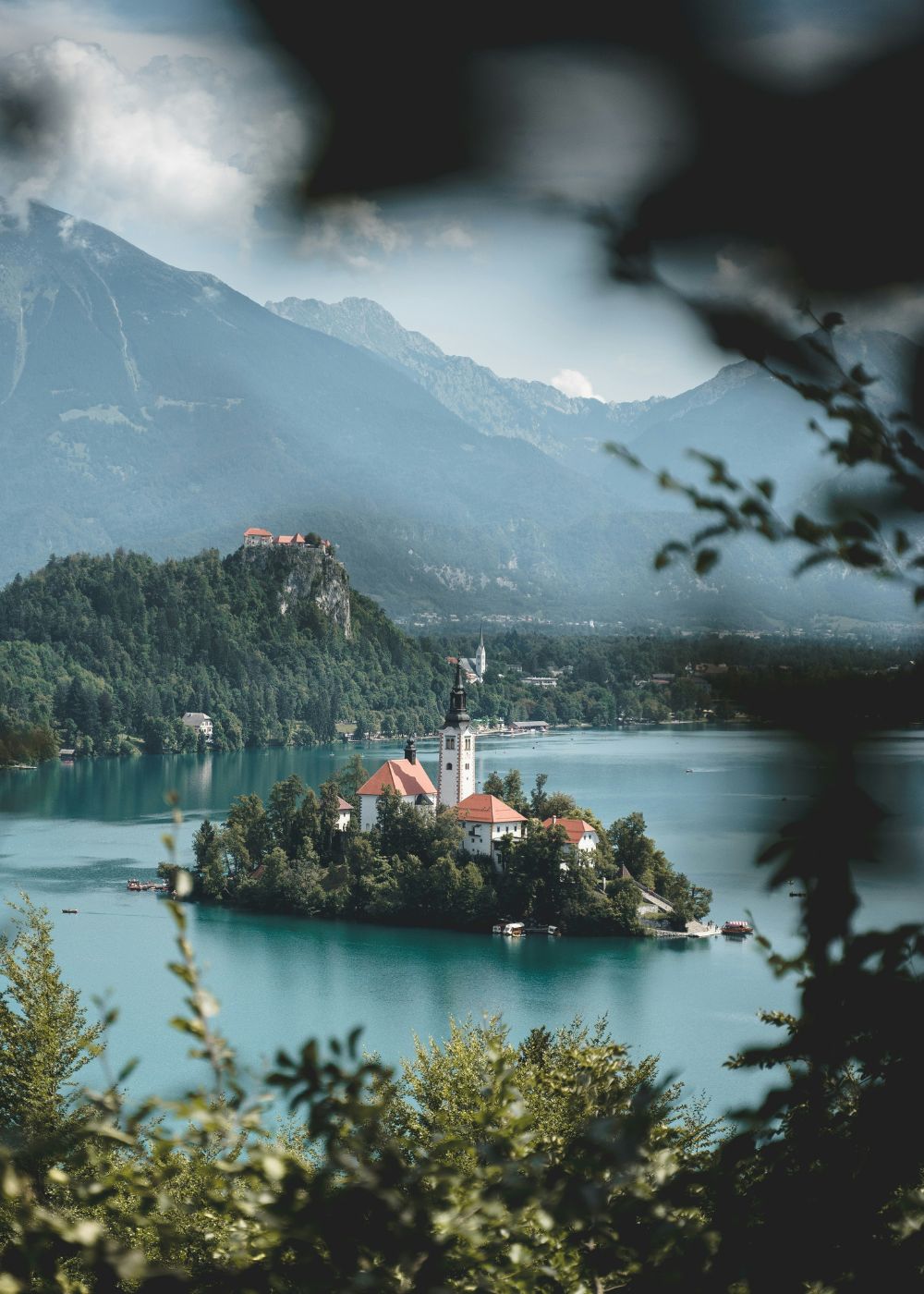 a close up shot of a brown bear’s face, with shaggy brown fur