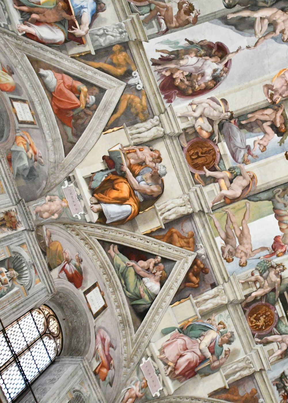 a close up shot of a brown bear’s face, with shaggy brown fur