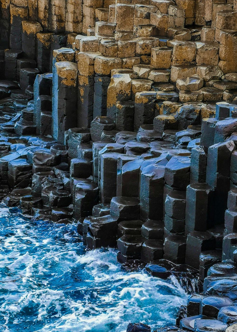 a close up shot of a brown bear’s face, with shaggy brown fur