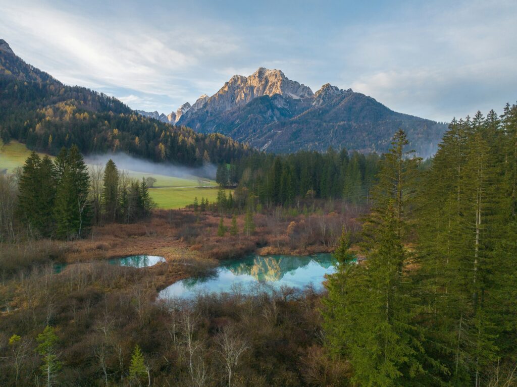 A landscape of mountains, forests and lakes in Slovenia.
