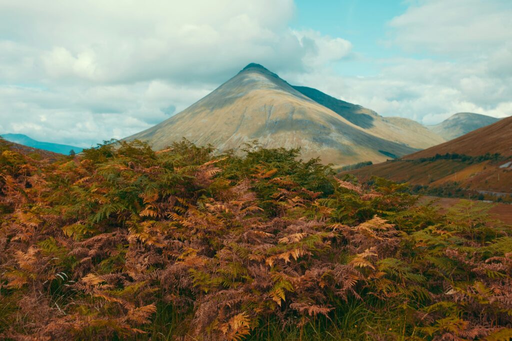 A barren mountain with autumn heathers at the base.