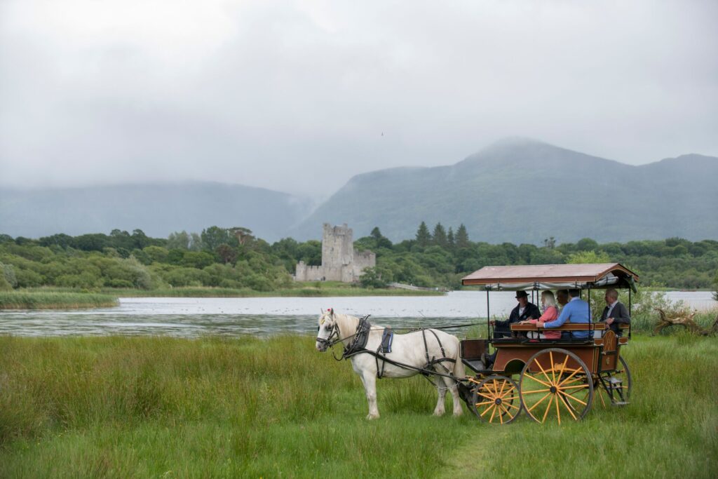 Jaunting Cart Killarney Ireland