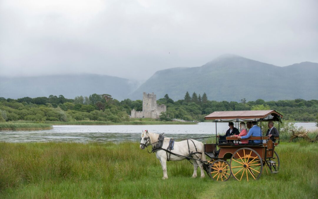 Happy Returns: Travel Deeper On These 5 Second-Time Tours  