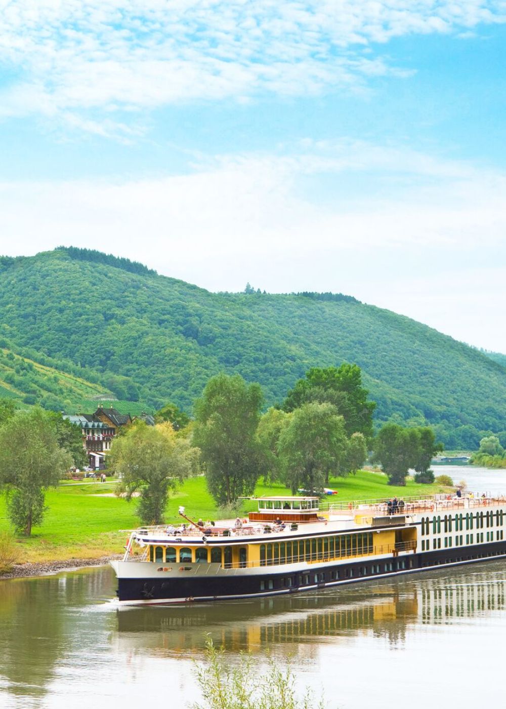 a close up shot of a brown bear’s face, with shaggy brown fur