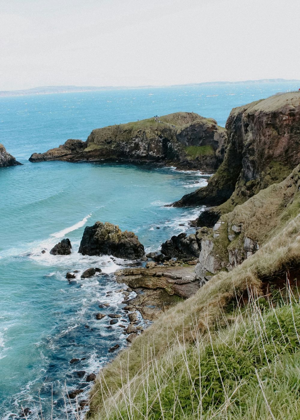 a close up shot of a brown bear’s face, with shaggy brown fur