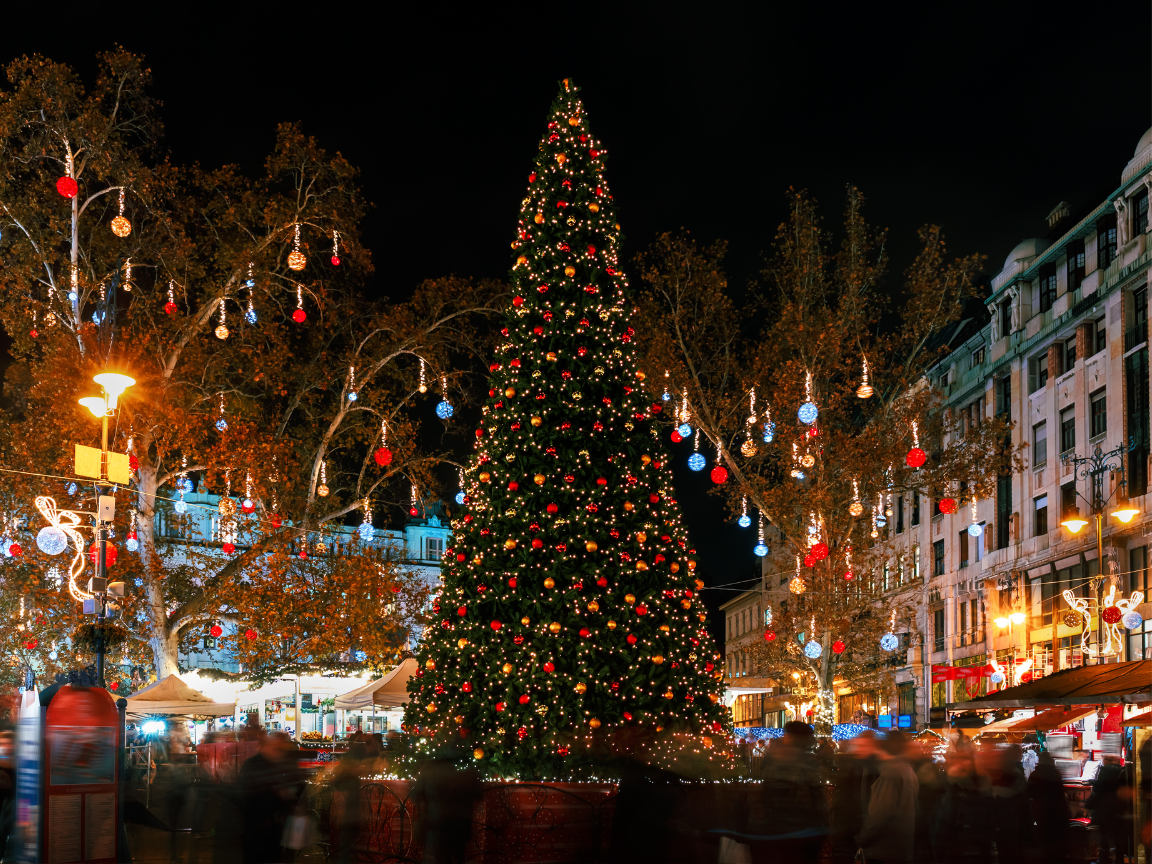 a close up shot of a brown bear’s face, with shaggy brown fur