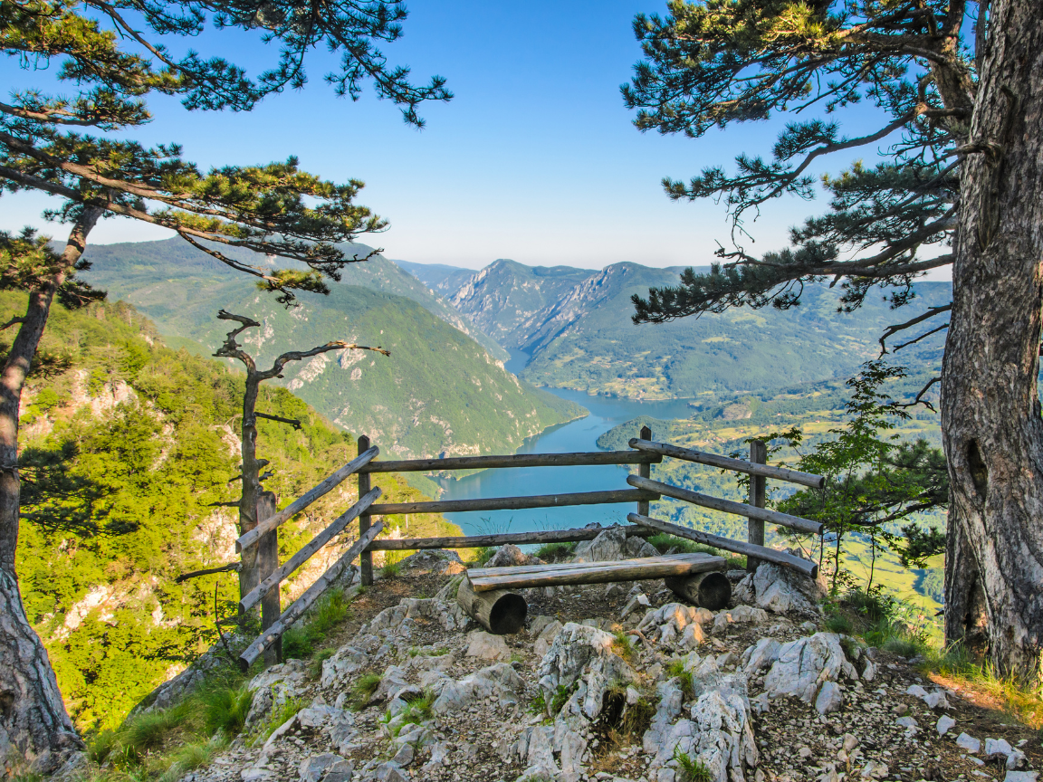 GettyImages-1084701130